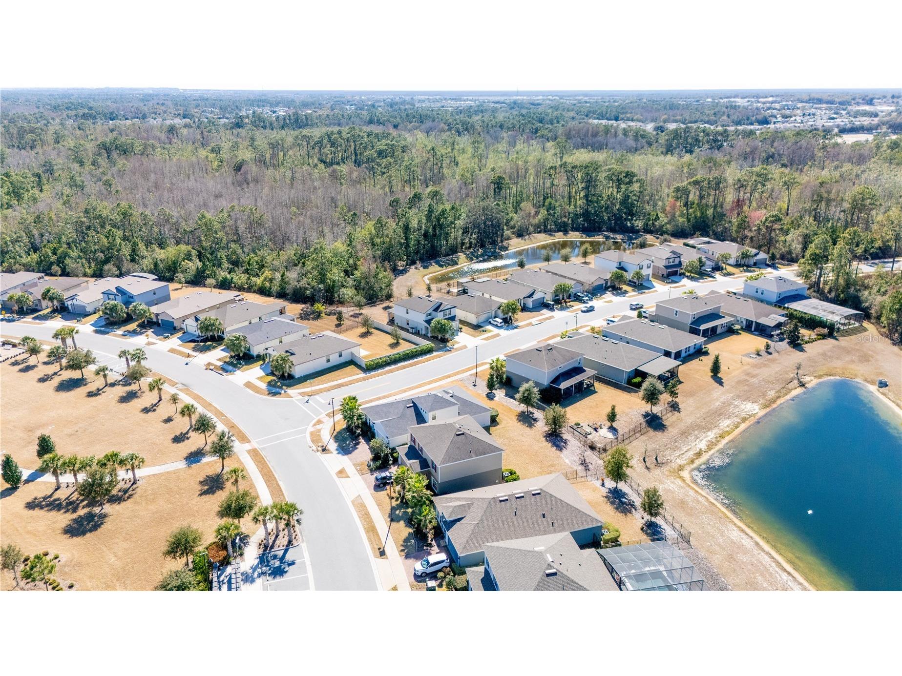17128 Basswood Lane Clermont FL 34714 O6378342 image41