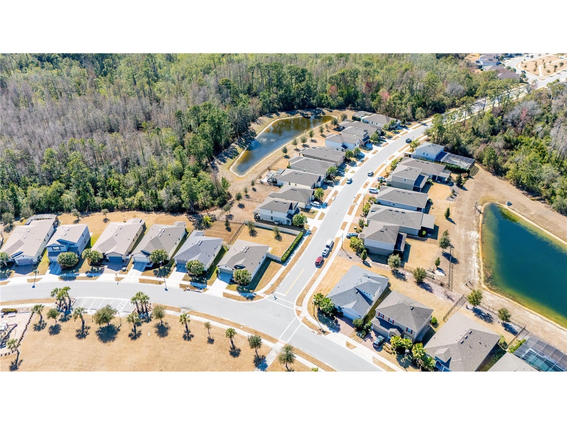 17128 Basswood Lane Clermont FL 34714 O6378342 image42