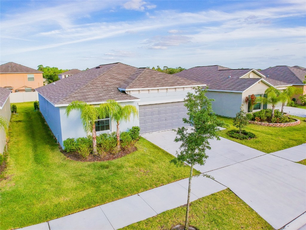 17128 Sunshine Mimosa Street Wimauma FL 33598 T3437777 image1