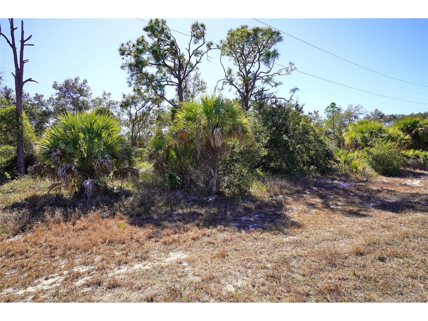17129 Wintergarden Avenue Port Charlotte FL 33948 C7521706 image1