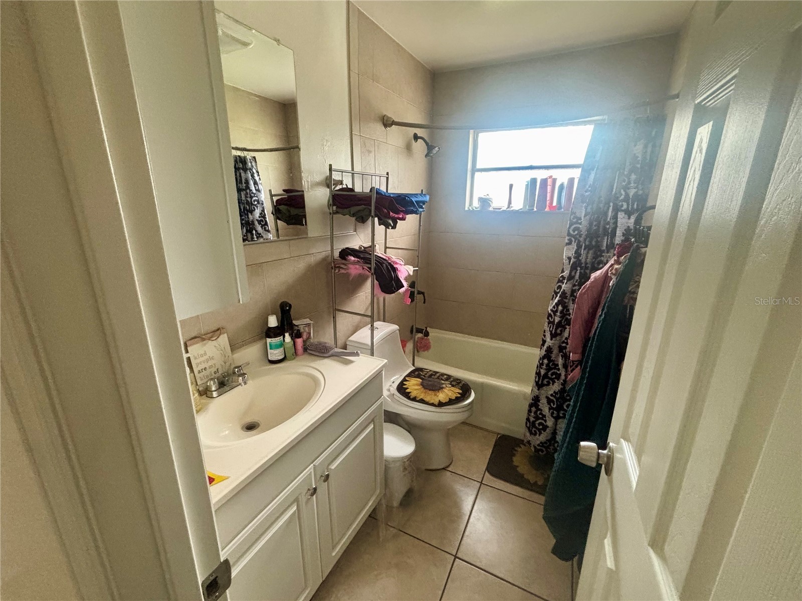 1713 & 1715 Se Cherry Dr Drive SE Arcadia FL 34266 D6147221 image20