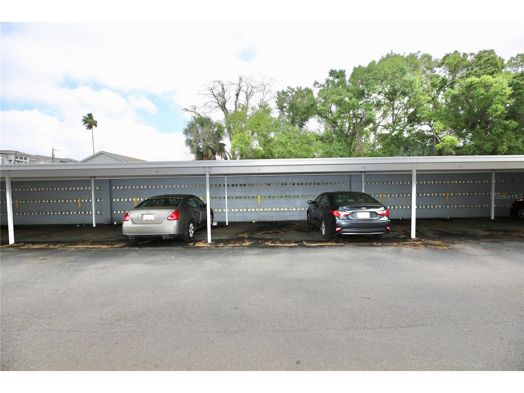 1713 Belleair Forest Drive #C Belleair FL 33756 TB8487598 image39