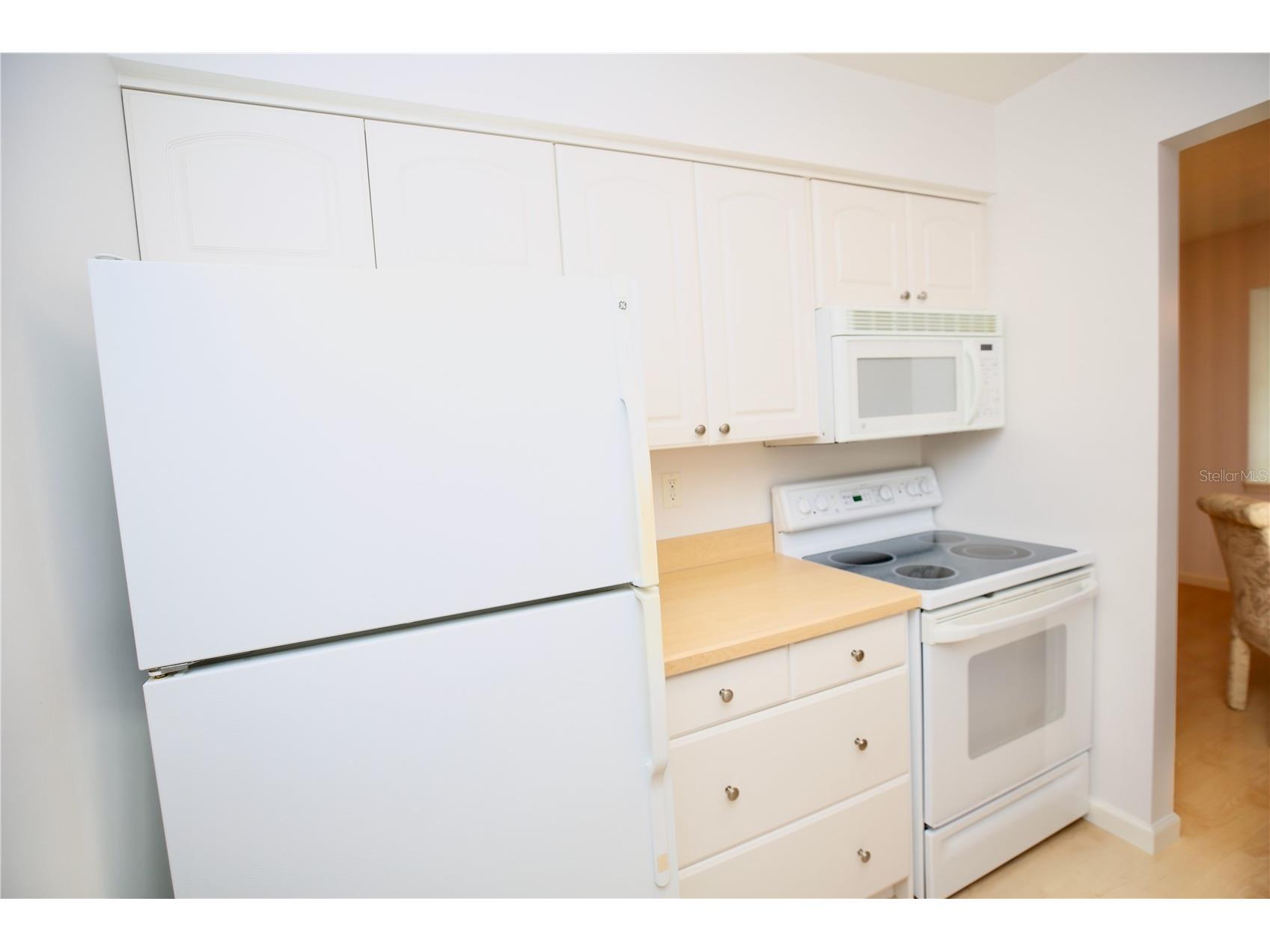 1713 Belleair Forest Drive #C Belleair FL 33756 TB8487598 image9