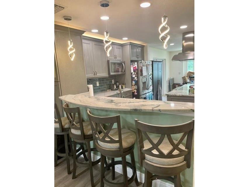 1713 Mapleleaf Boulevard Oldsmar FL 34677 TB8523949 image2