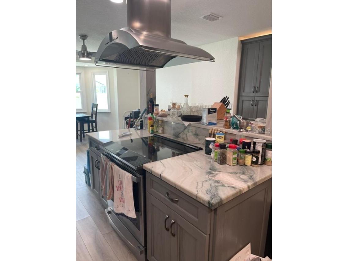 1713 Mapleleaf Boulevard Oldsmar FL 34677 TB8523949 image5