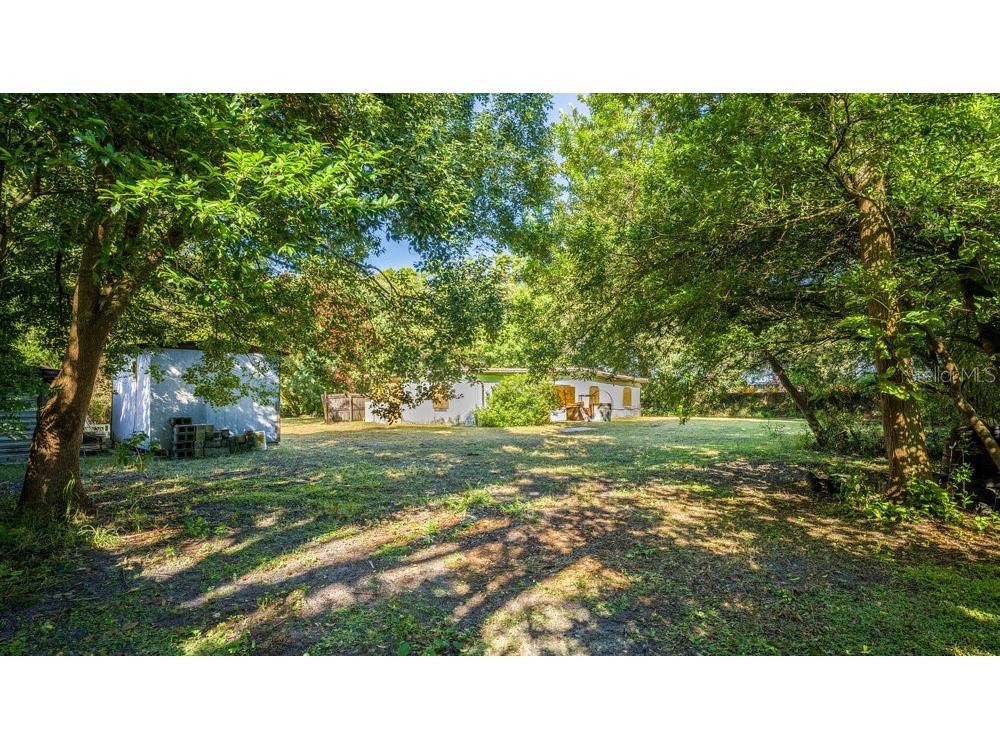 1713 Regan Avenue Orlando FL 32807 O5986625 image1