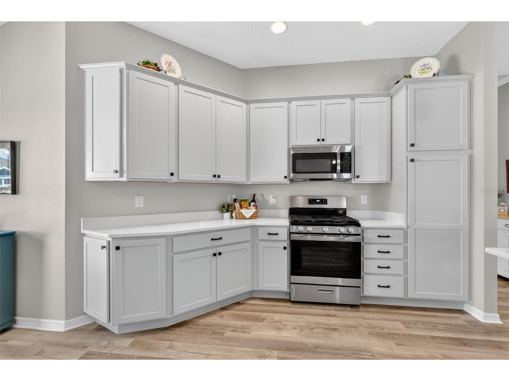 1713 Robbins Road The Villages FL 34762 G5111206 image8
