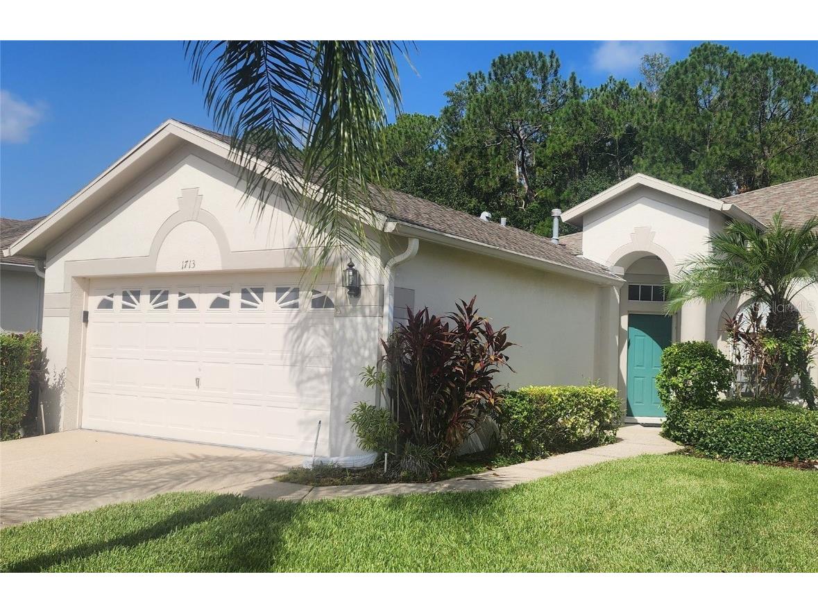 1713 Sassafras Drive Wesley Chapel FL 33543 TB8411343 image1