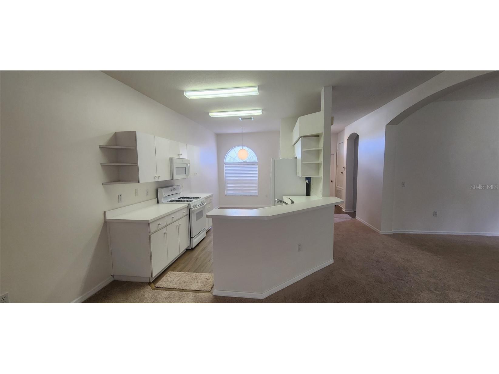 1713 Sassafras Drive Wesley Chapel FL 33543 TB8411343 image10