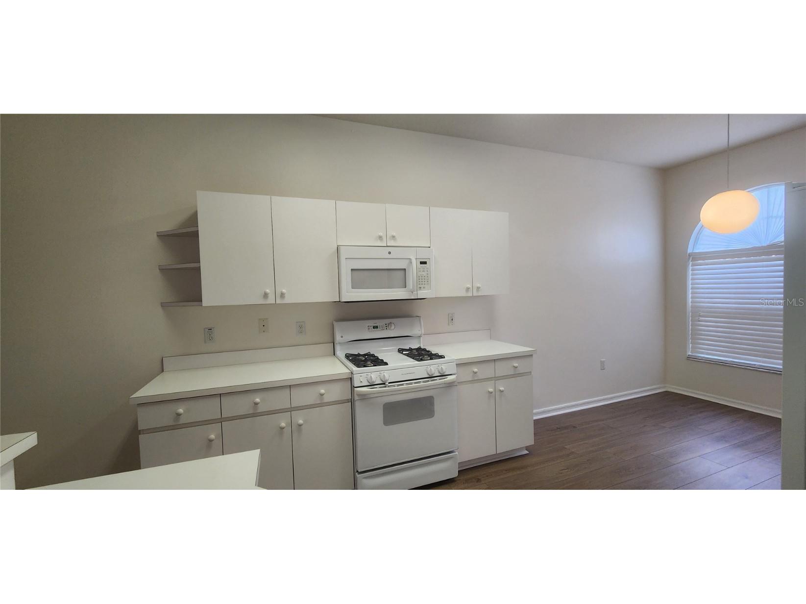 1713 Sassafras Drive Wesley Chapel FL 33543 TB8411343 image12