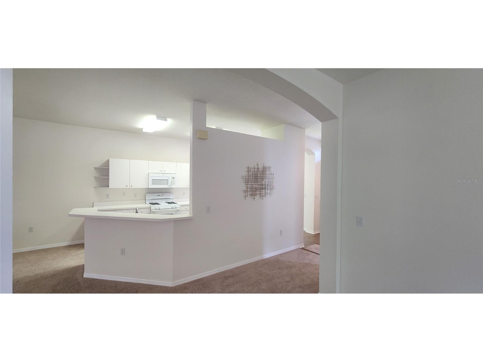 1713 Sassafras Drive Wesley Chapel FL 33543 TB8411343 image15