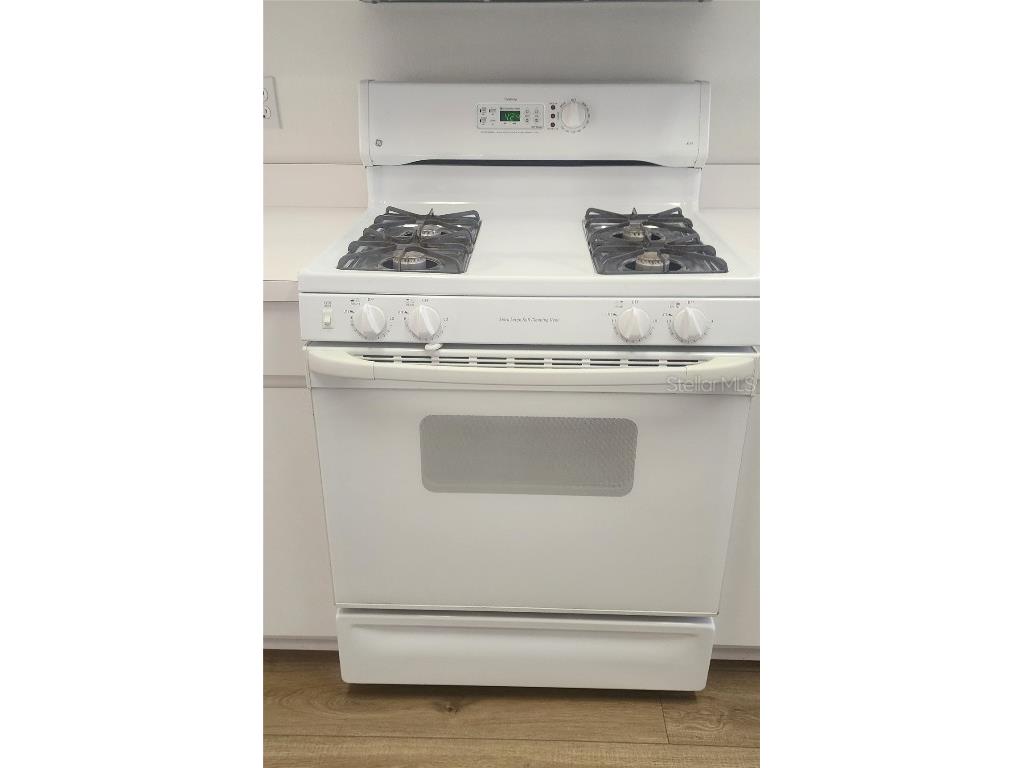 1713 Sassafras Drive Wesley Chapel FL 33543 TB8411343 image20