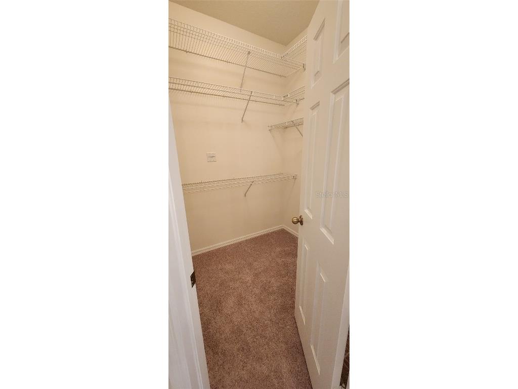 1713 Sassafras Drive Wesley Chapel FL 33543 TB8411343 image28