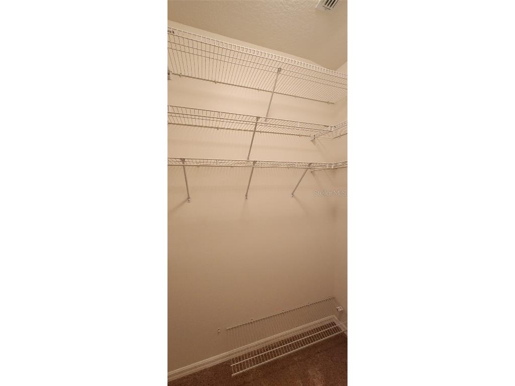 1713 Sassafras Drive Wesley Chapel FL 33543 TB8411343 image29