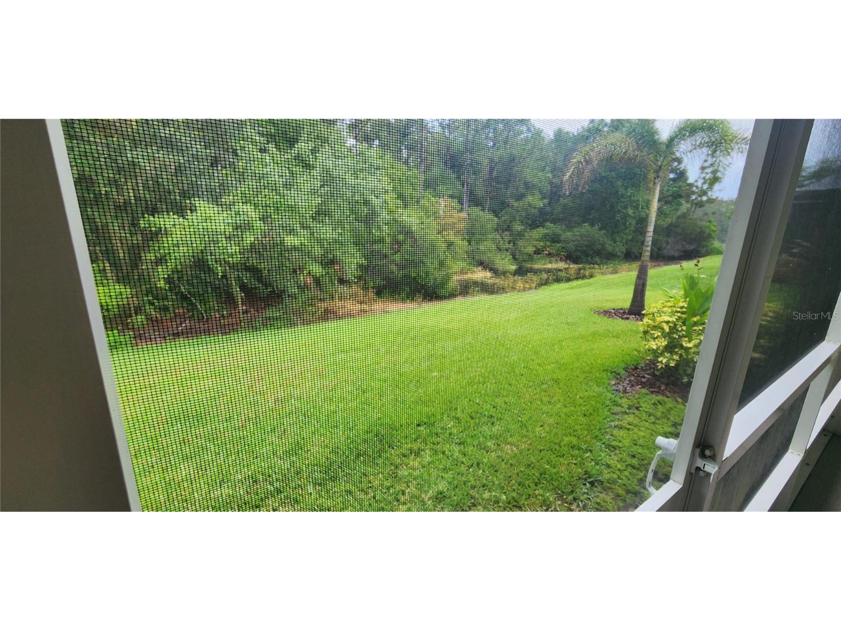 1713 Sassafras Drive Wesley Chapel FL 33543 TB8411343 image3