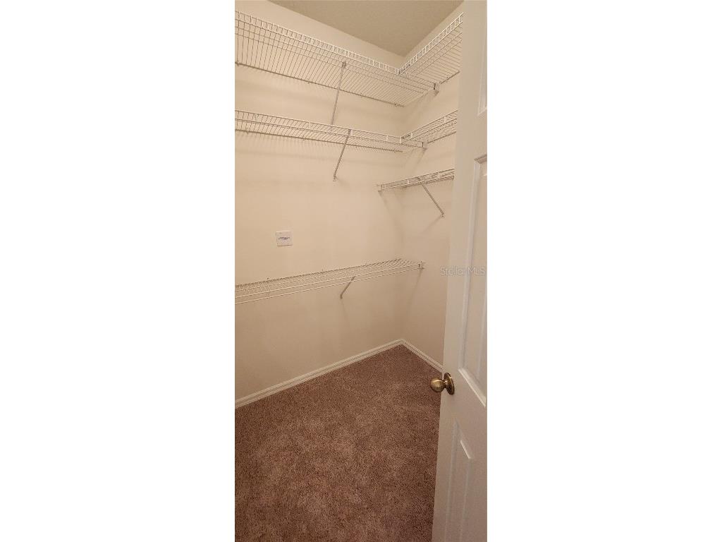 1713 Sassafras Drive Wesley Chapel FL 33543 TB8411343 image30