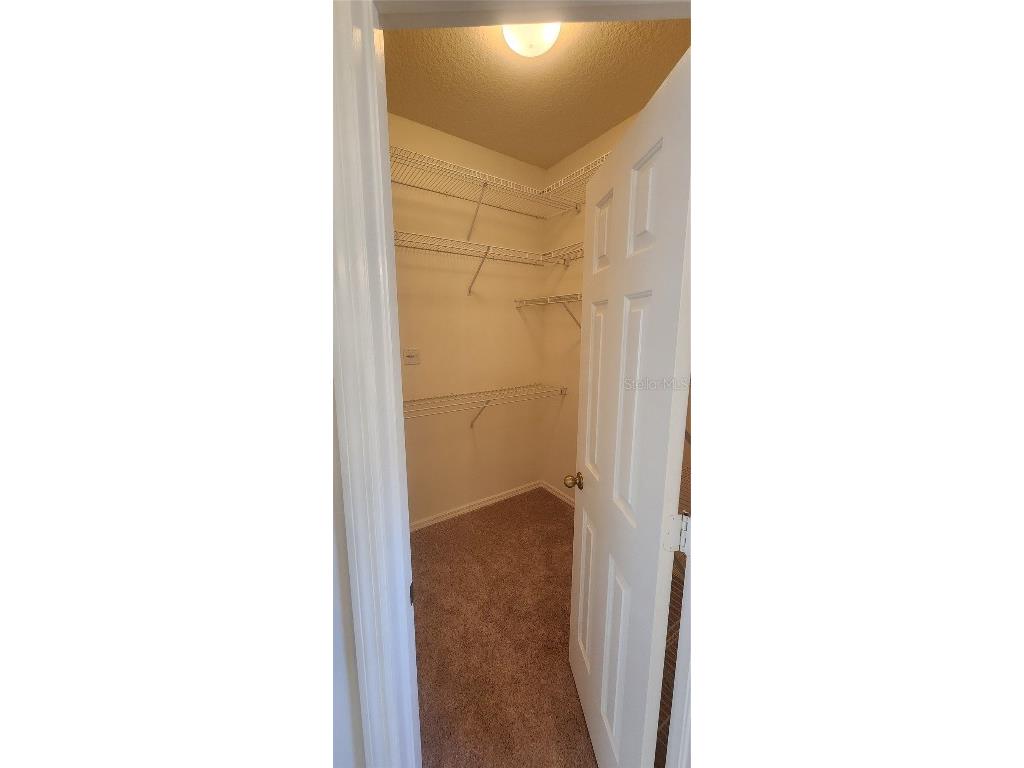 1713 Sassafras Drive Wesley Chapel FL 33543 TB8411343 image31