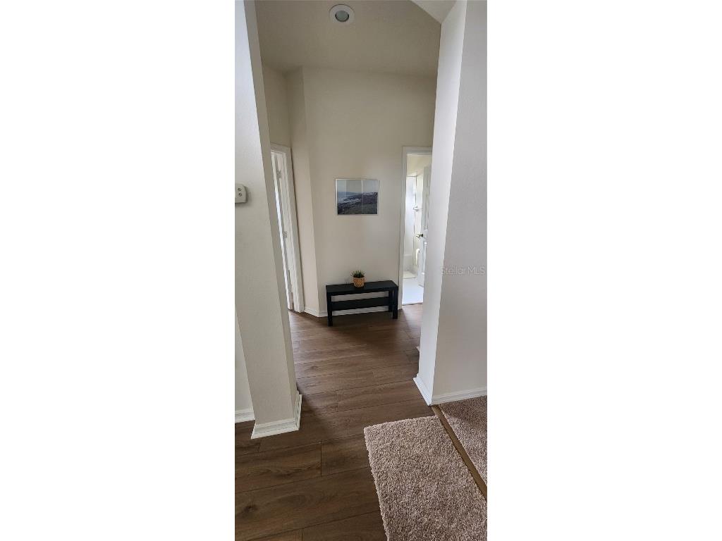 1713 Sassafras Drive Wesley Chapel FL 33543 TB8411343 image39