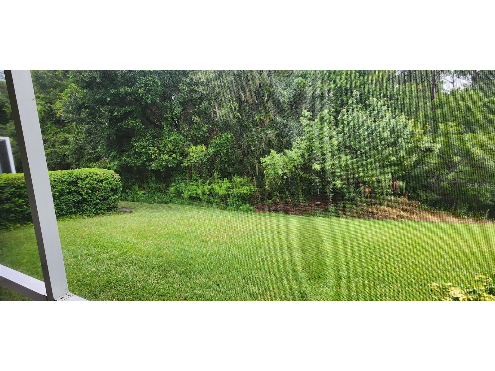 1713 Sassafras Drive Wesley Chapel FL 33543 TB8411343 image4