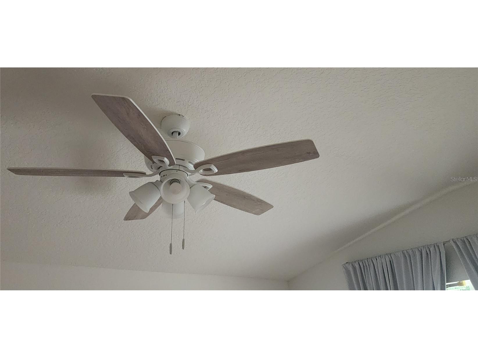 1713 Sassafras Drive Wesley Chapel FL 33543 TB8411343 image43