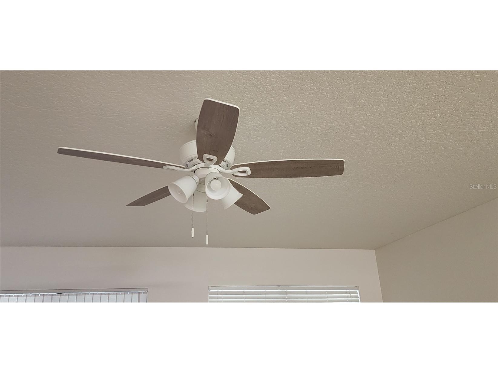 1713 Sassafras Drive Wesley Chapel FL 33543 TB8411343 image44