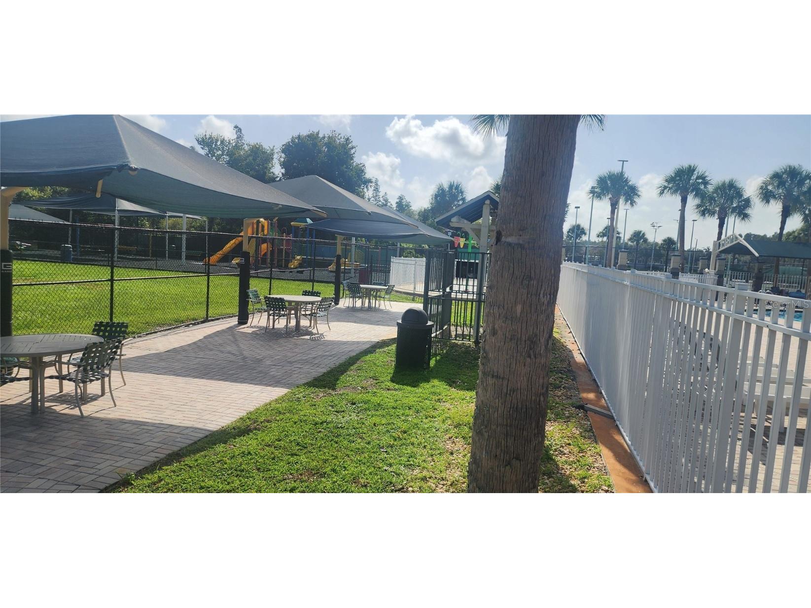 1713 Sassafras Drive Wesley Chapel FL 33543 TB8411343 image48