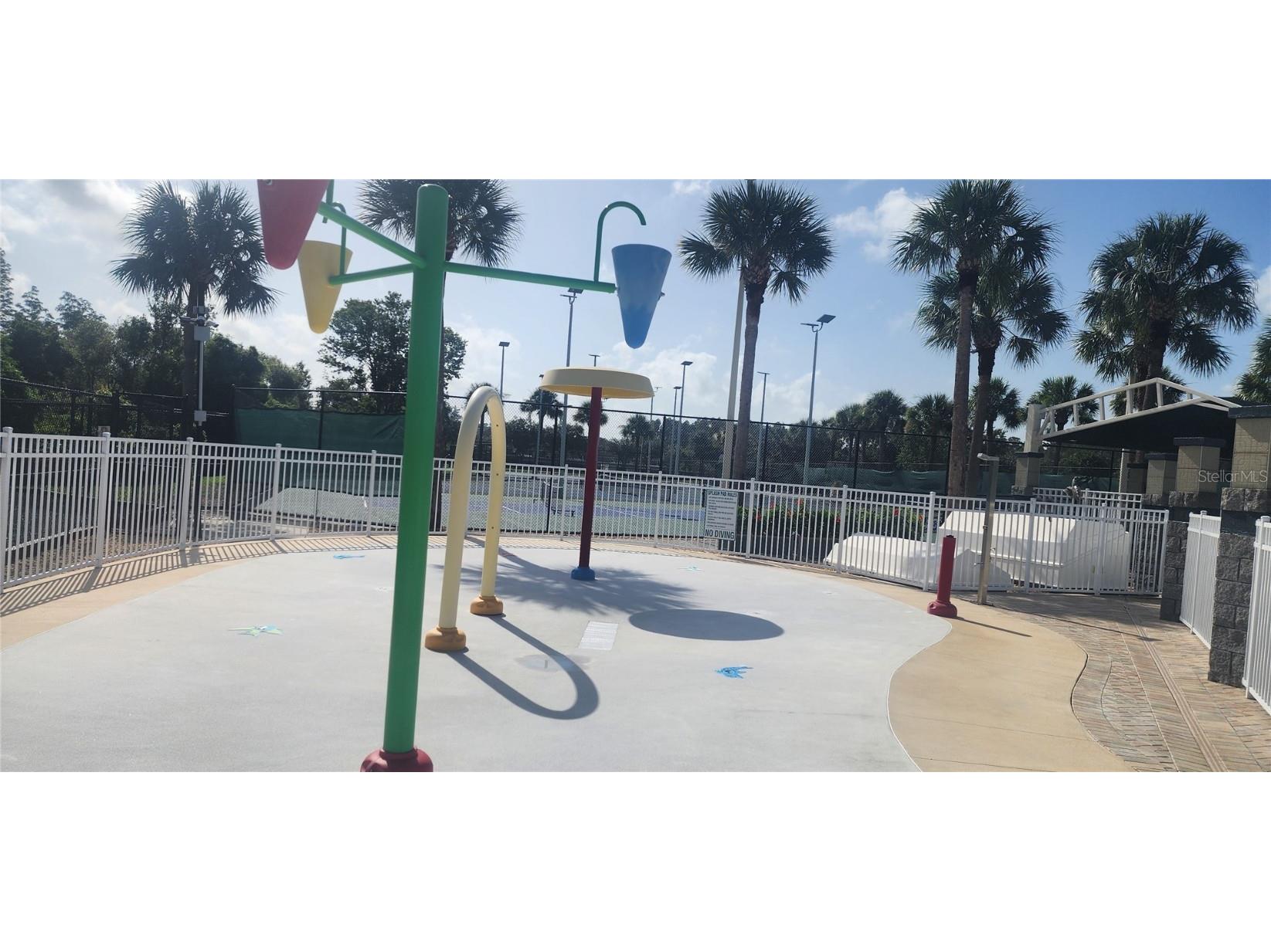 1713 Sassafras Drive Wesley Chapel FL 33543 TB8411343 image49