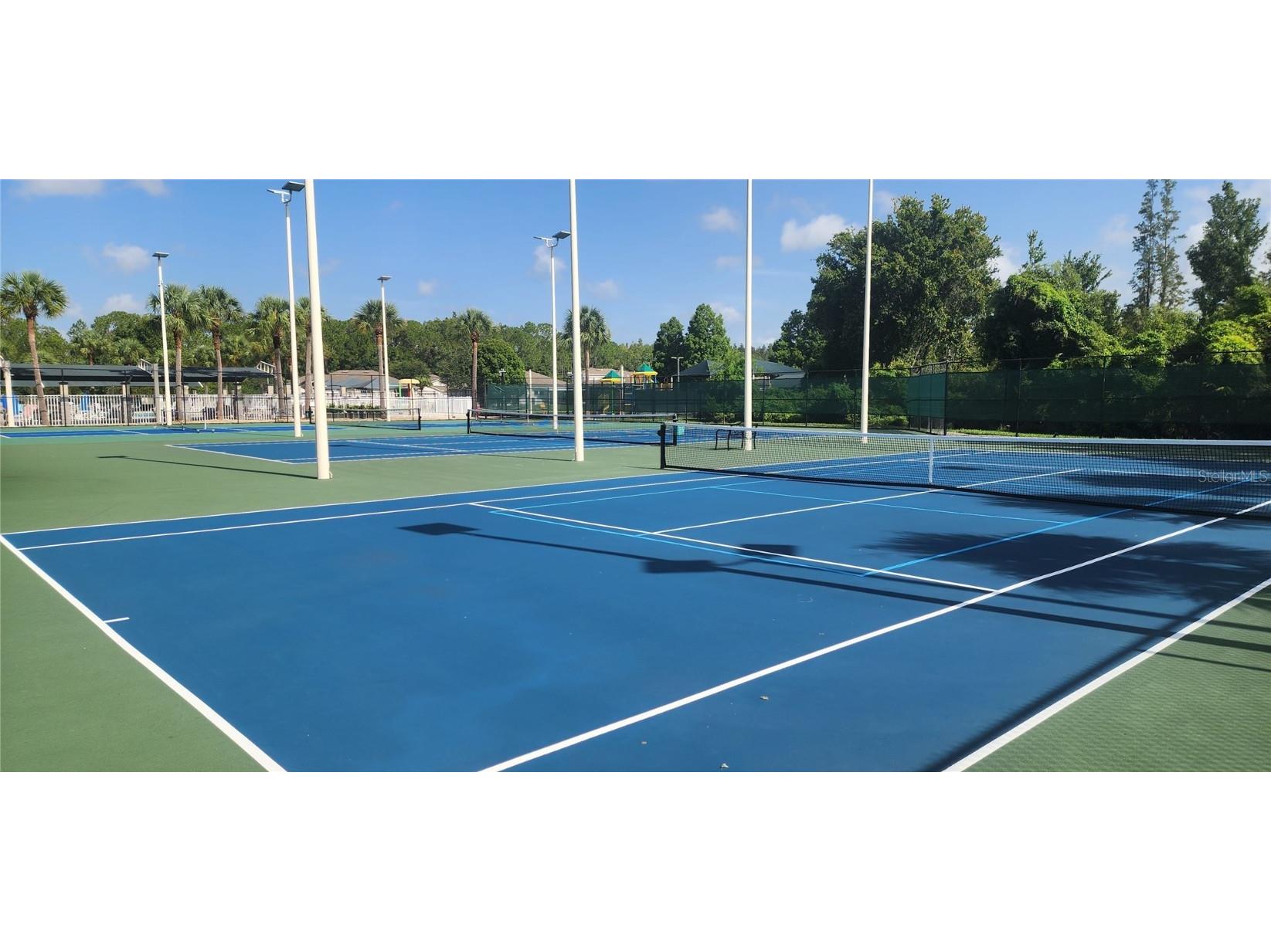 1713 Sassafras Drive Wesley Chapel FL 33543 TB8411343 image52