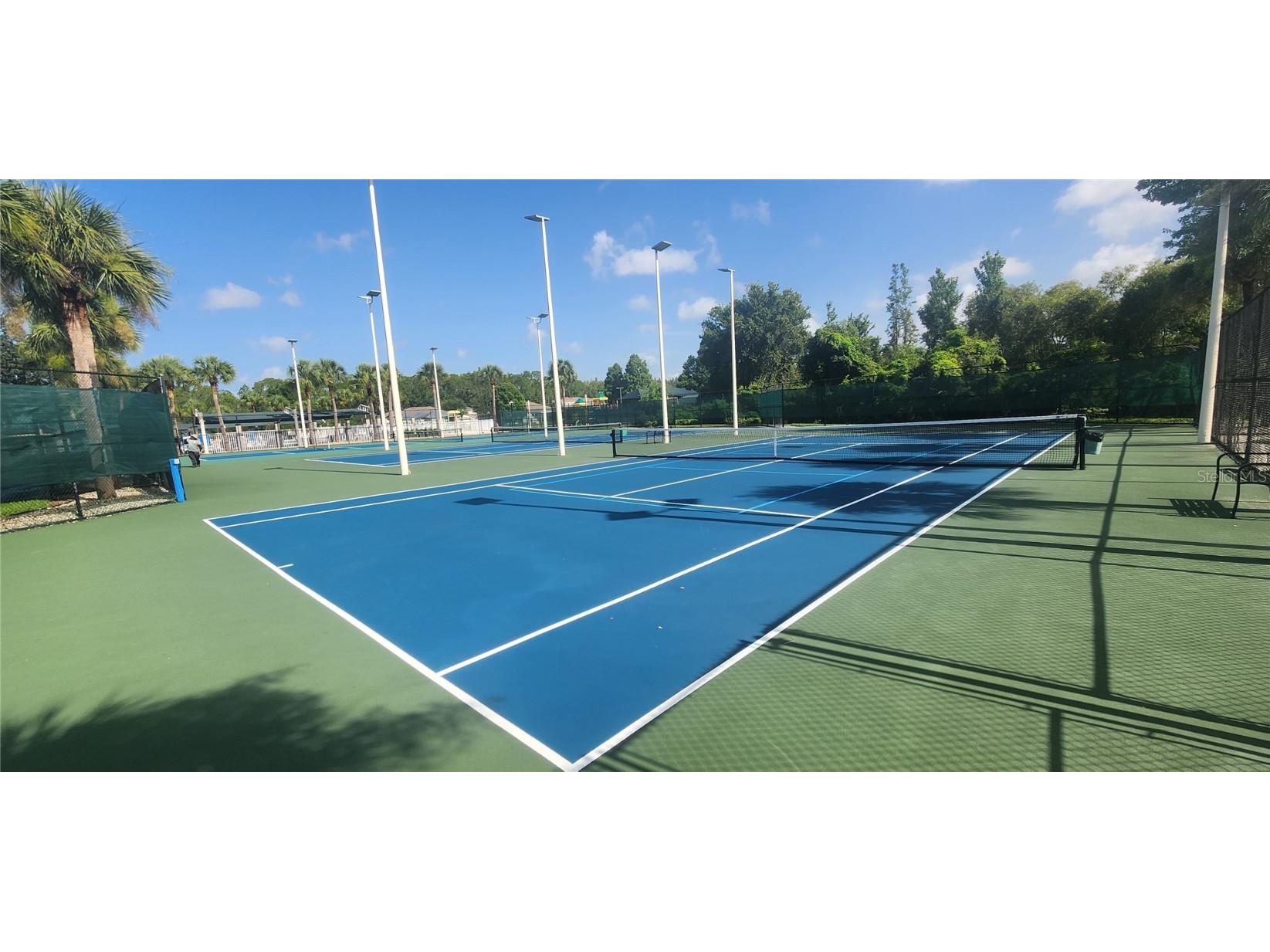 1713 Sassafras Drive Wesley Chapel FL 33543 TB8411343 image53