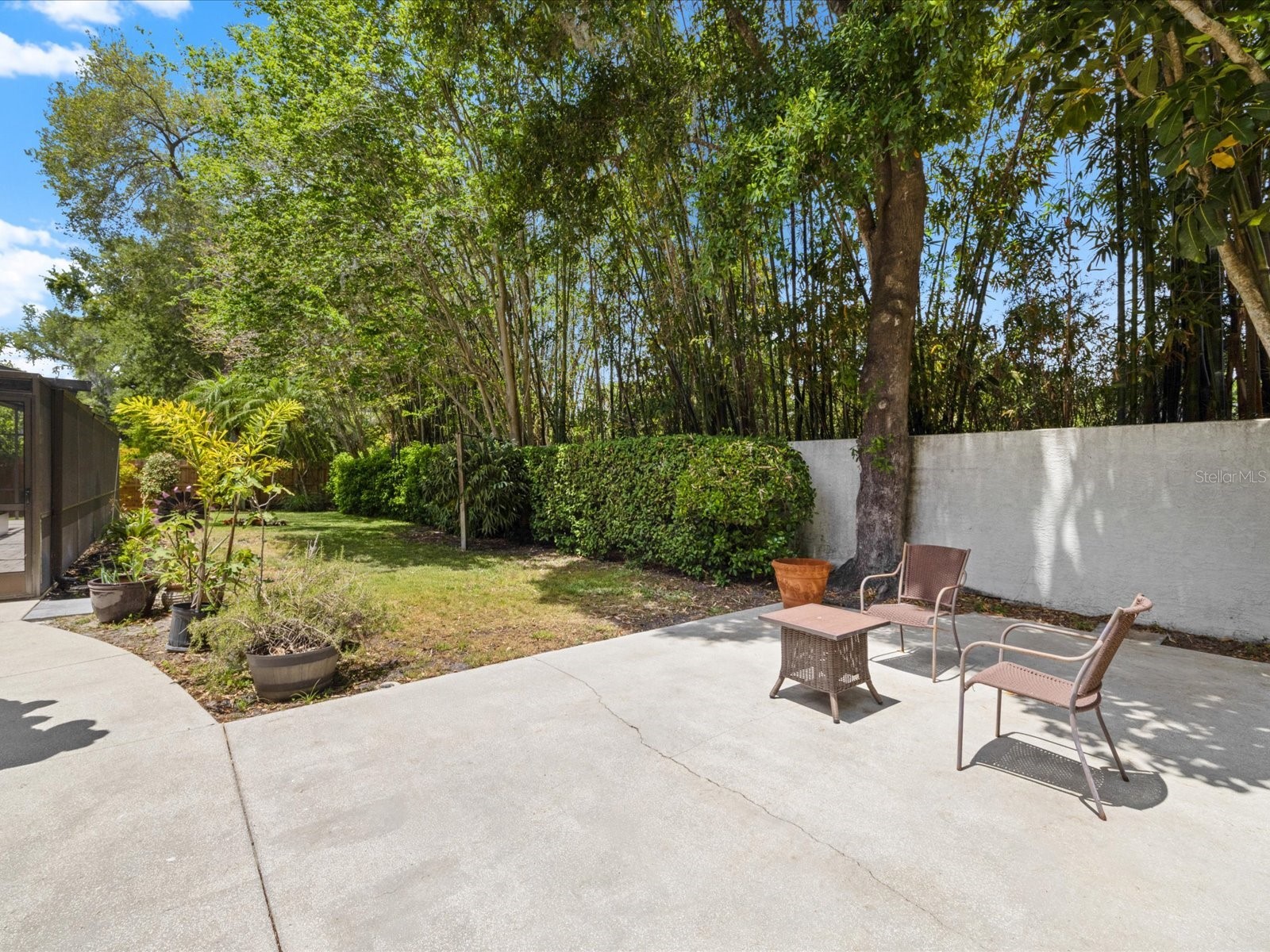 1713 Tall Pine Circle Safety Harbor FL 34695 TB8505914 image63