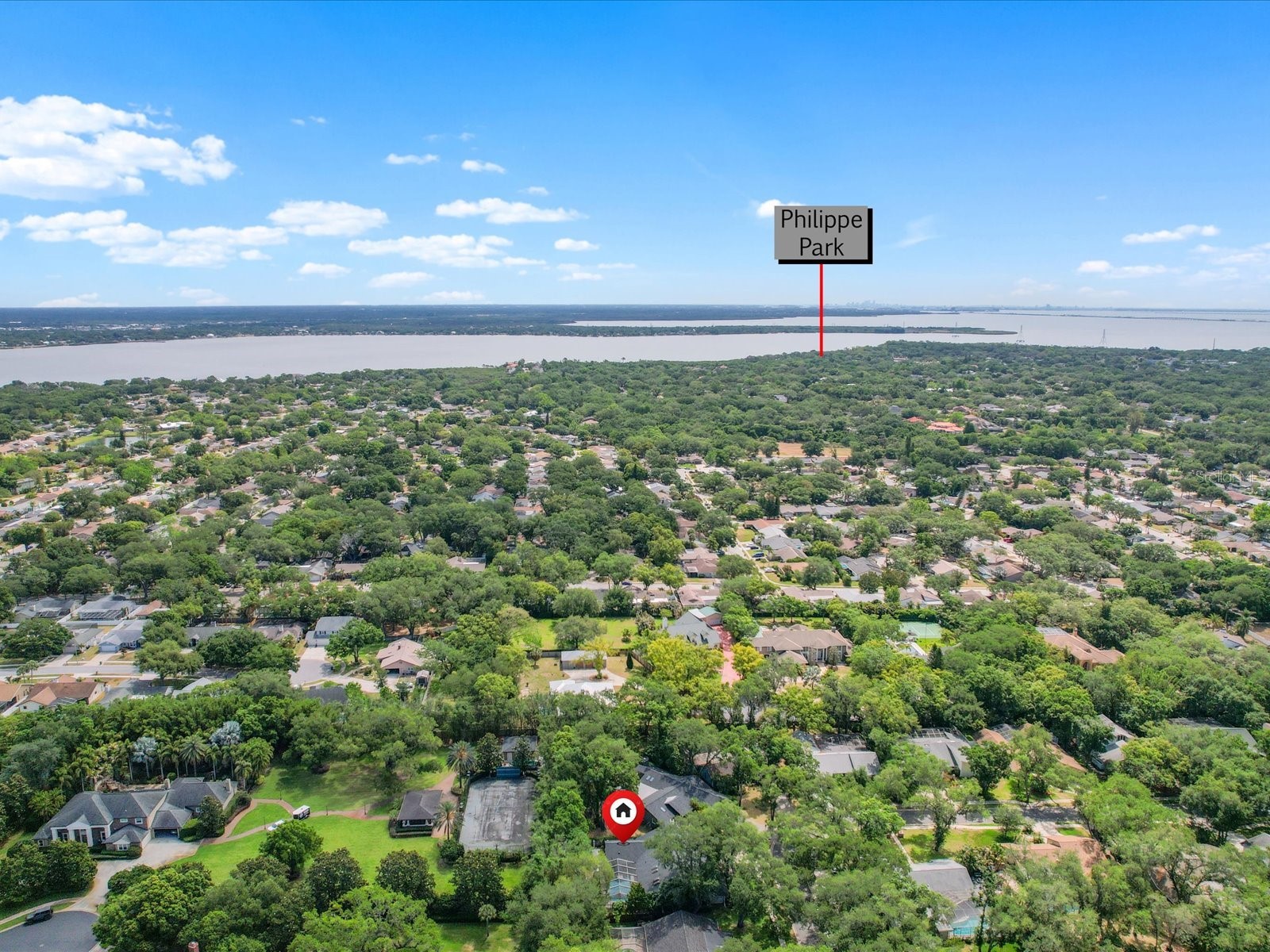 1713 Tall Pine Circle Safety Harbor FL 34695 TB8505914 image66