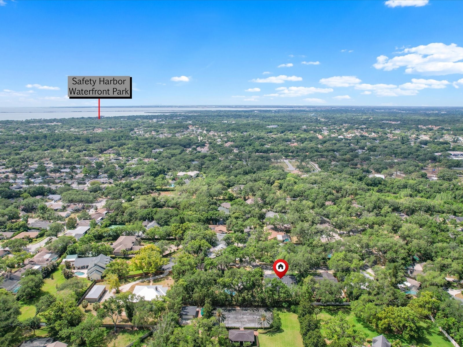 1713 Tall Pine Circle Safety Harbor FL 34695 TB8505914 image67