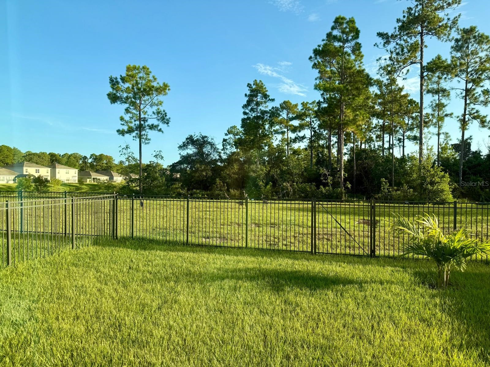 17132 Edgemont Lane Clermont FL 34714 S5146213 image23