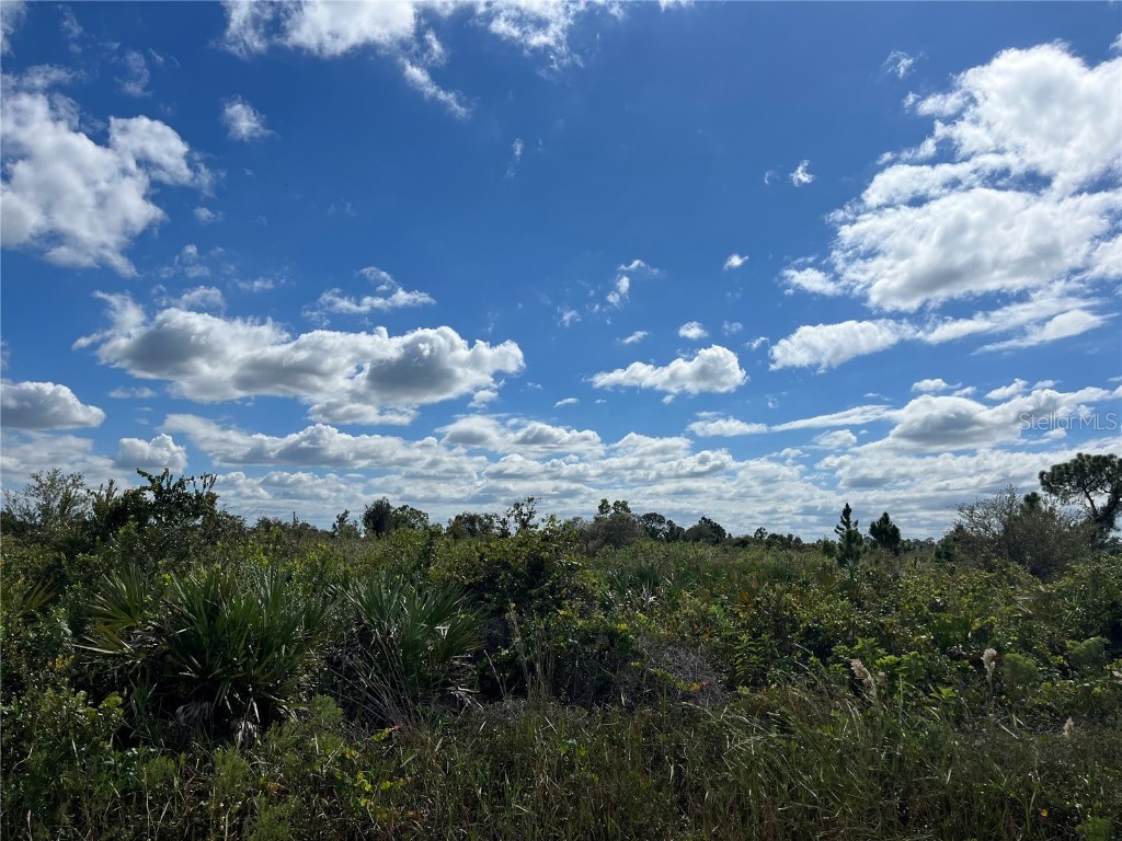 17132 NW 302nd Street Okeechobee FL 34972 OK223331 image1