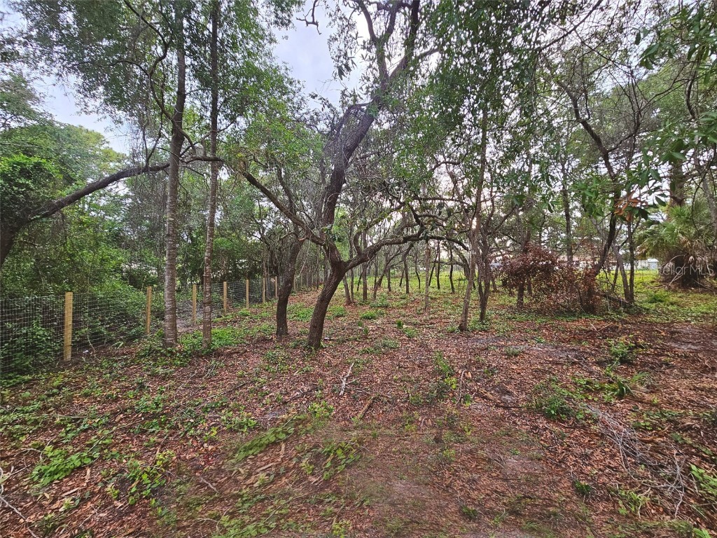 17132 Ridgeline Trail Hudson FL 34667 TB8392696 image11