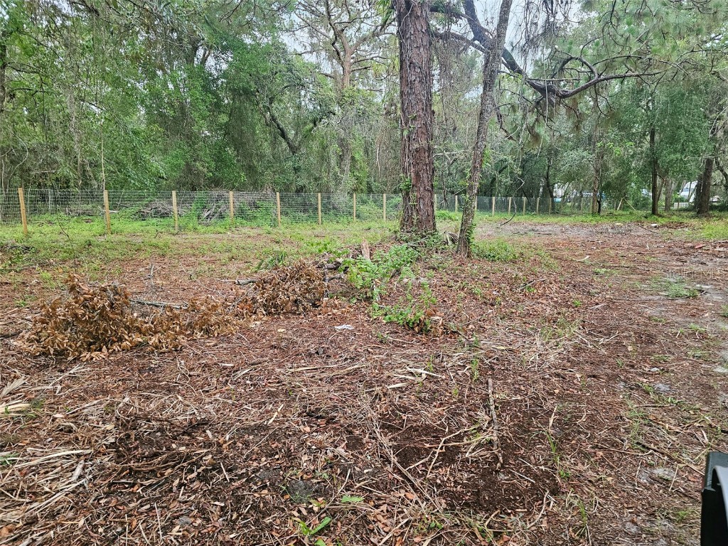 17132 Ridgeline Trail Hudson FL 34667 TB8392696 image12