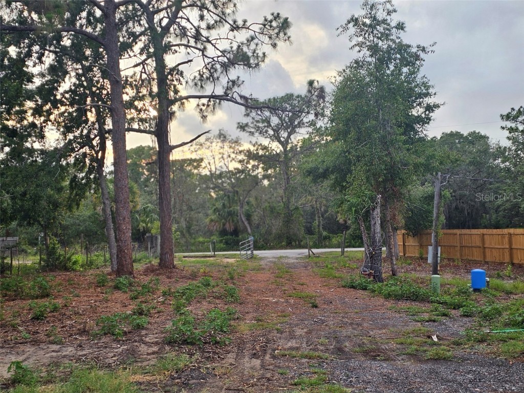 17132 Ridgeline Trail Hudson FL 34667 TB8392696 image16