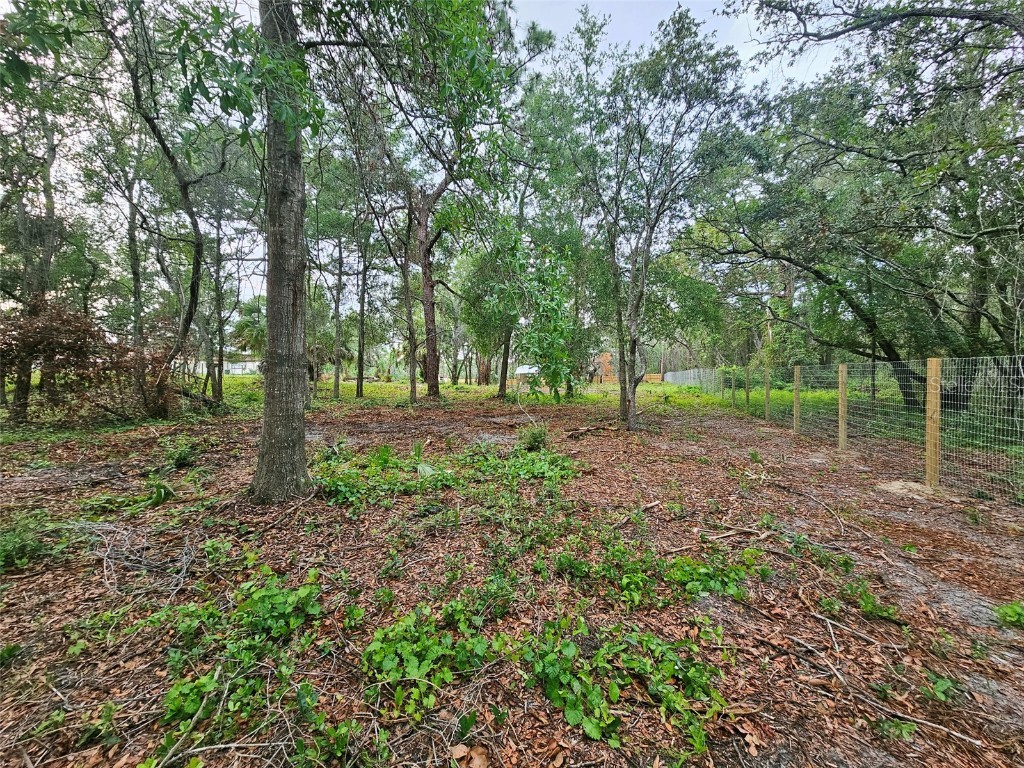 17132 Ridgeline Trail Hudson FL 34667 TB8392696 image6