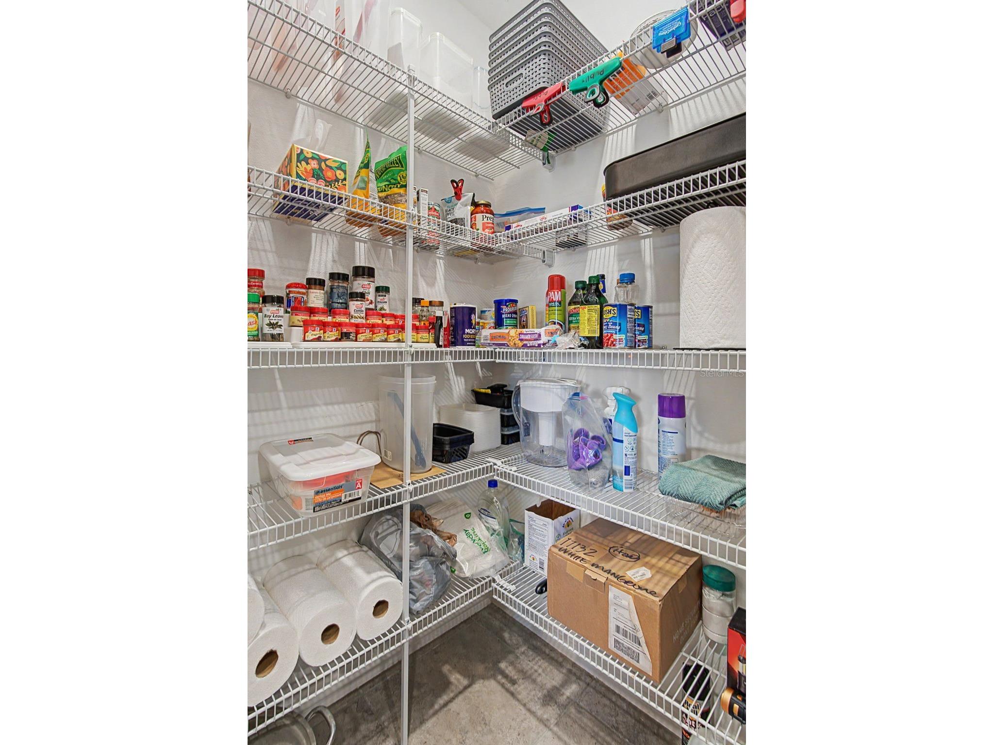 17132 White Mangrove Drive Wimauma FL 33598 TB8494754 image17