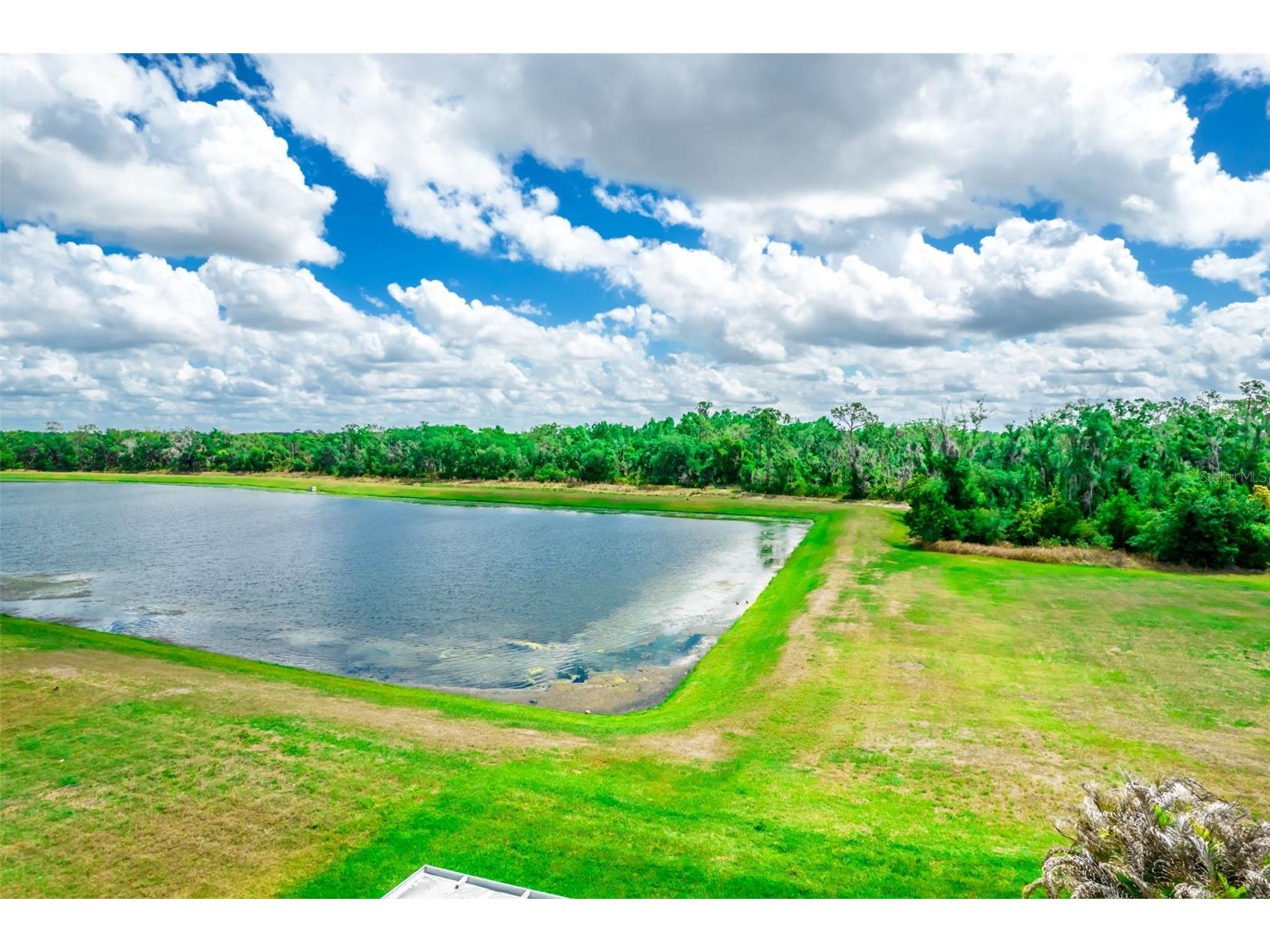 17132 White Mangrove Drive Wimauma FL 33598 TB8494754 image2