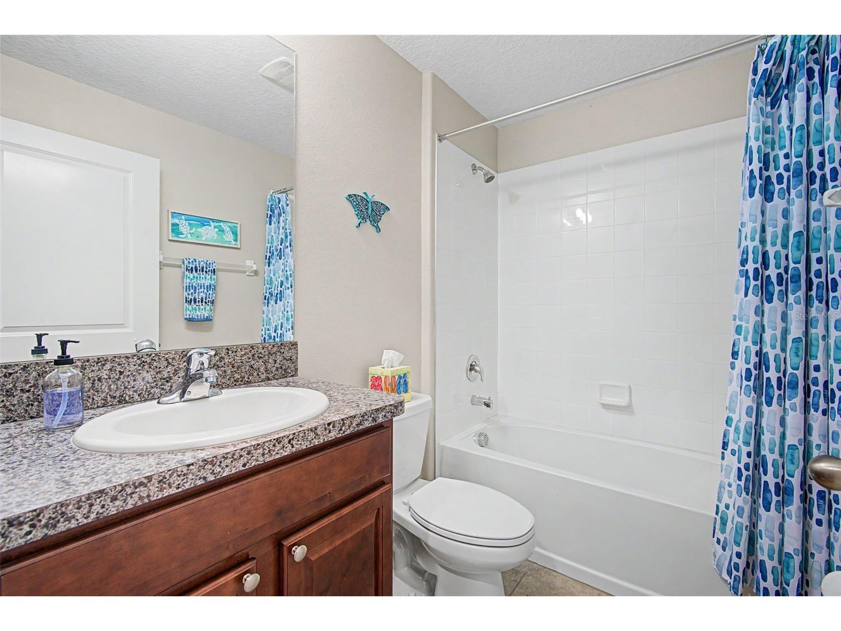 17132 White Mangrove Drive Wimauma FL 33598 TB8494754 image27