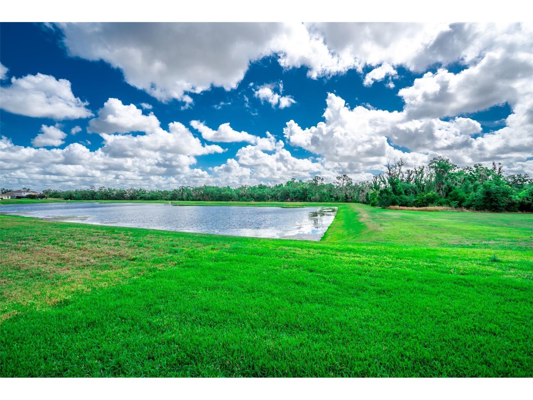 17132 White Mangrove Drive Wimauma FL 33598 TB8494754 image35