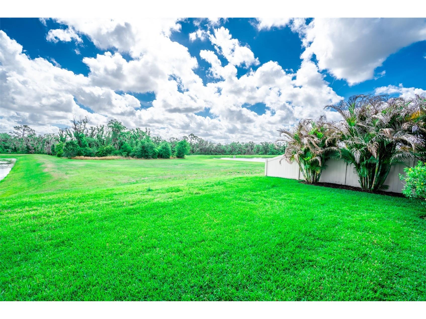 17132 White Mangrove Drive Wimauma FL 33598 TB8494754 image36