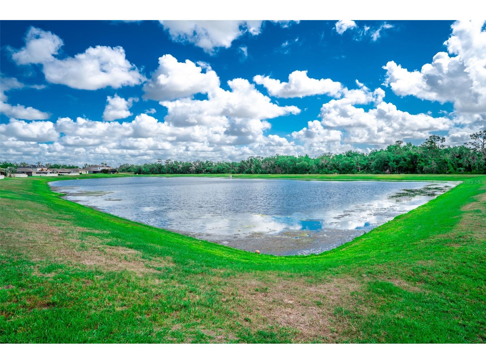 17132 White Mangrove Drive Wimauma FL 33598 TB8494754 image38