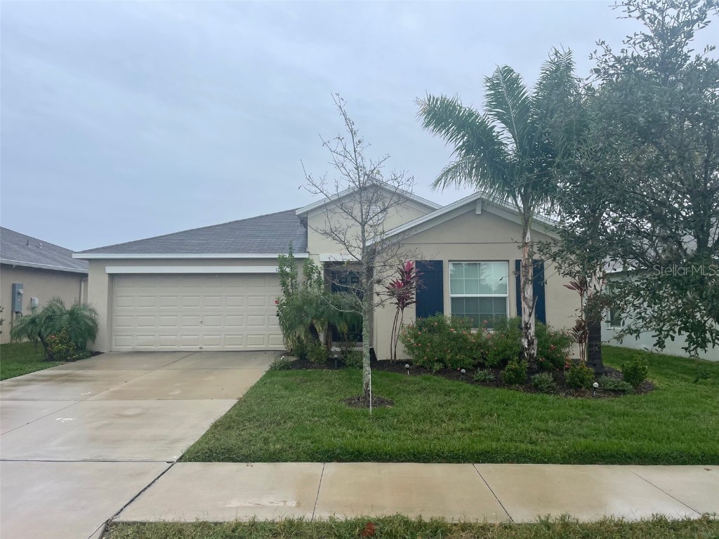 17134 White Mangrove Drive Wimauma FL 33598 T3484826 image1