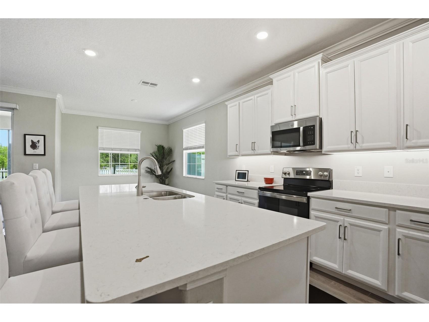 17135 Shell Bay Drive Land O Lakes FL 34638 TB8509761 image12