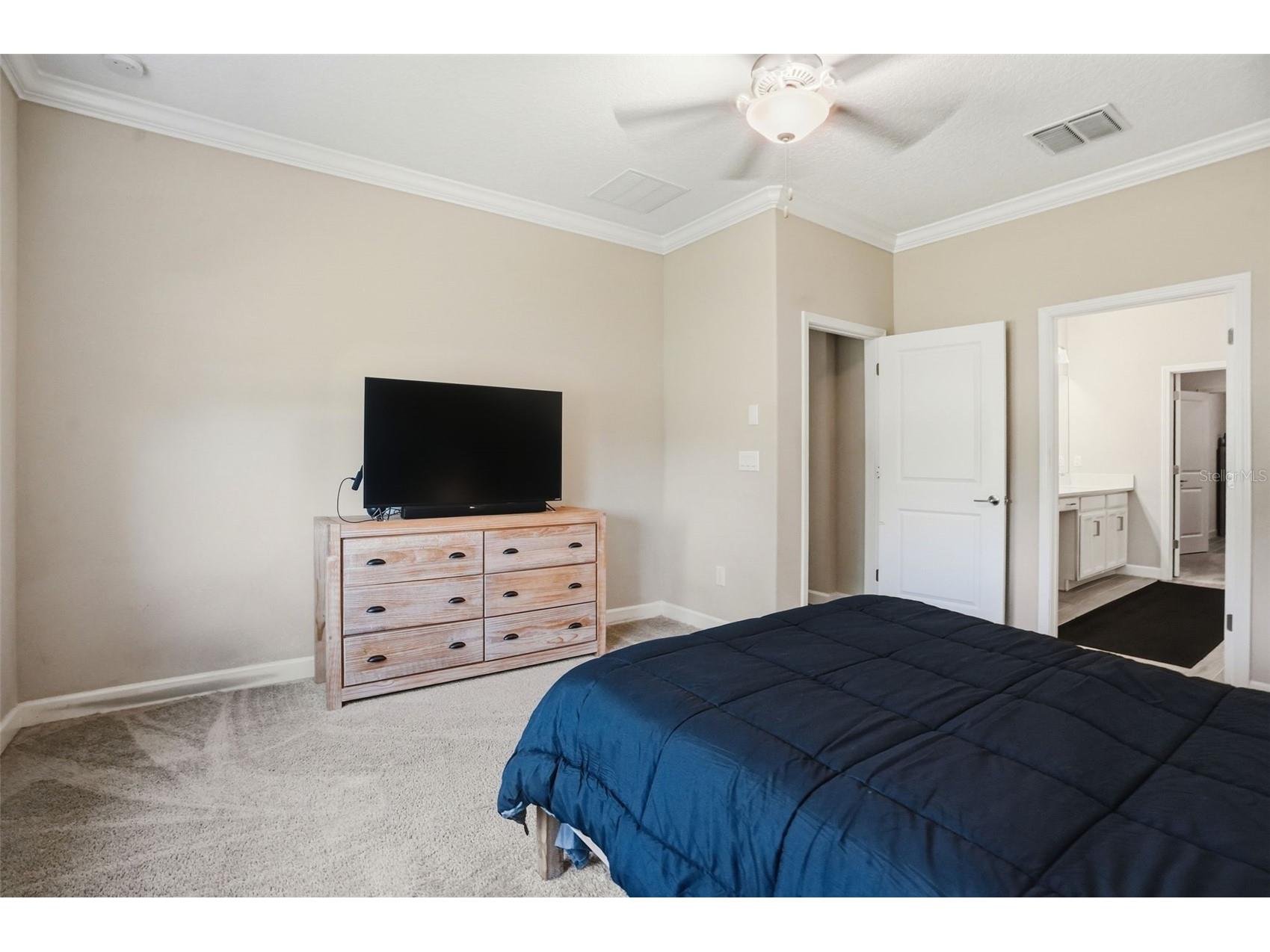 17135 Shell Bay Drive Land O Lakes FL 34638 TB8509761 image28