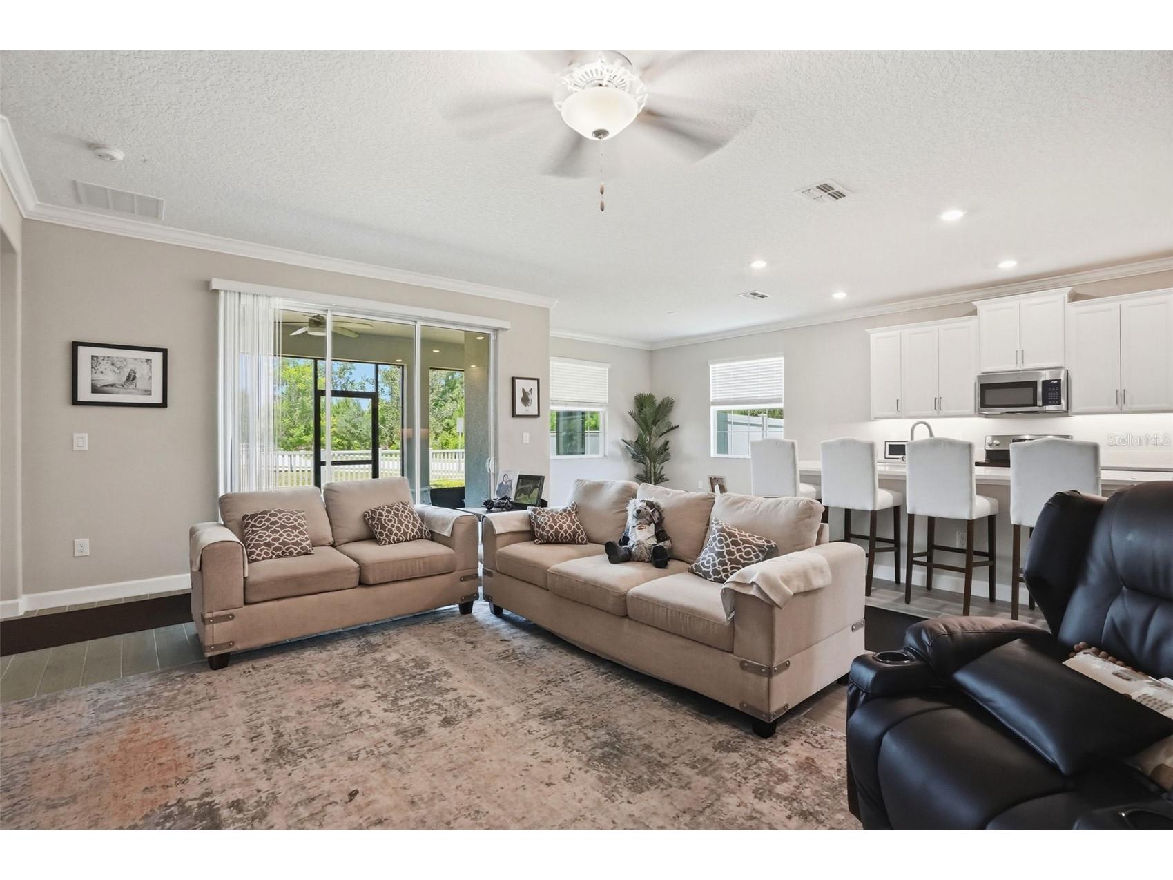 17135 Shell Bay Drive Land O Lakes FL 34638 TB8509761 image3
