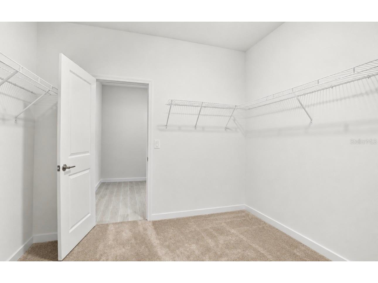 17135 Shell Bay Drive Land O Lakes FL 34638 TB8509761 image32