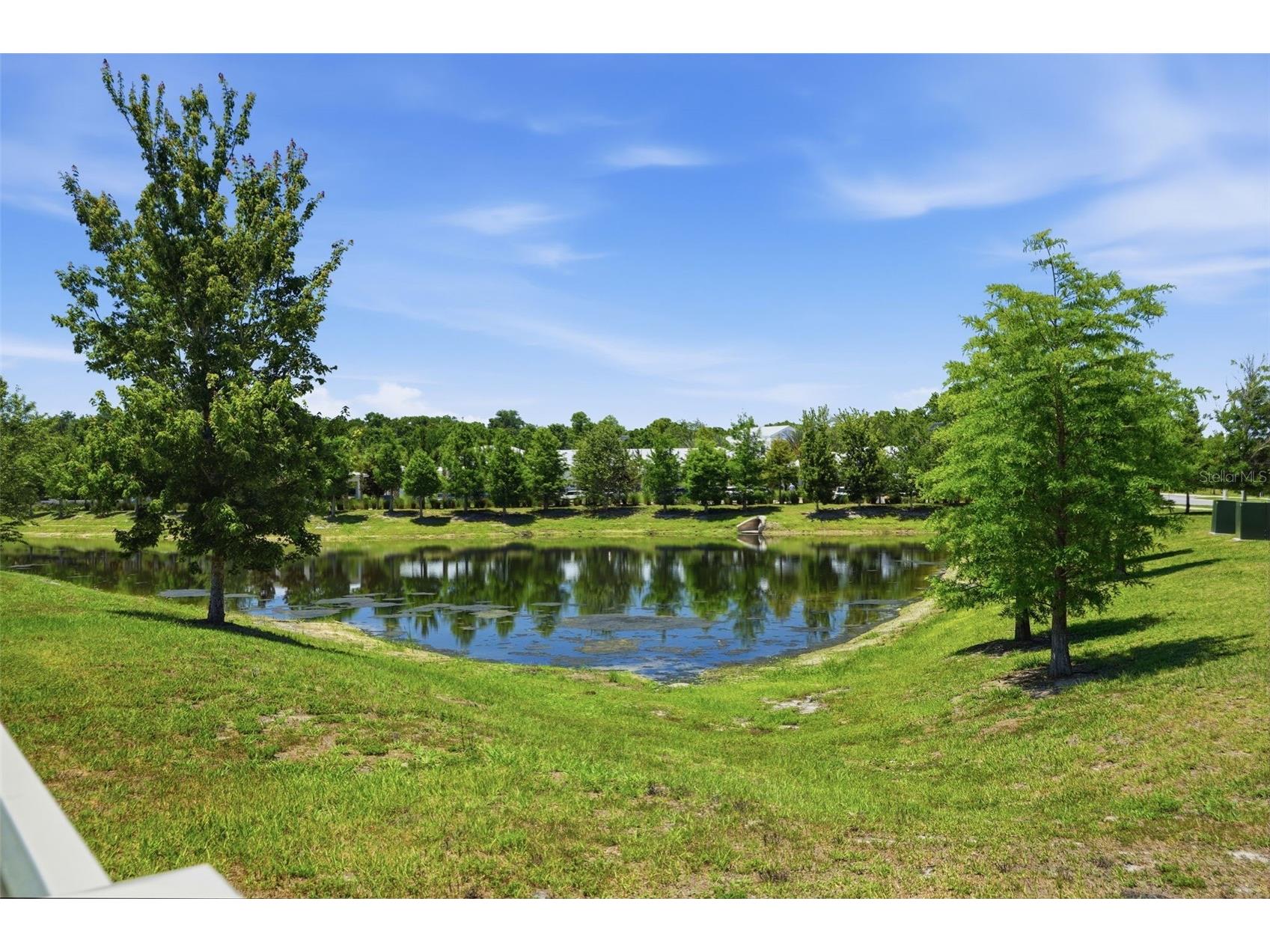 17135 Shell Bay Drive Land O Lakes FL 34638 TB8509761 image47
